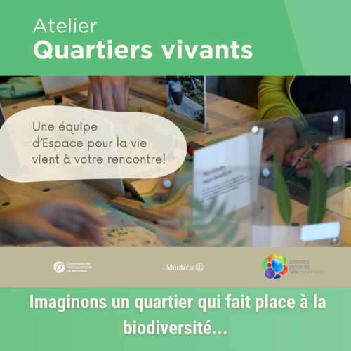 Quartiers Vivants atelier ludique: Discussions, réflexions et jeu collaboratif