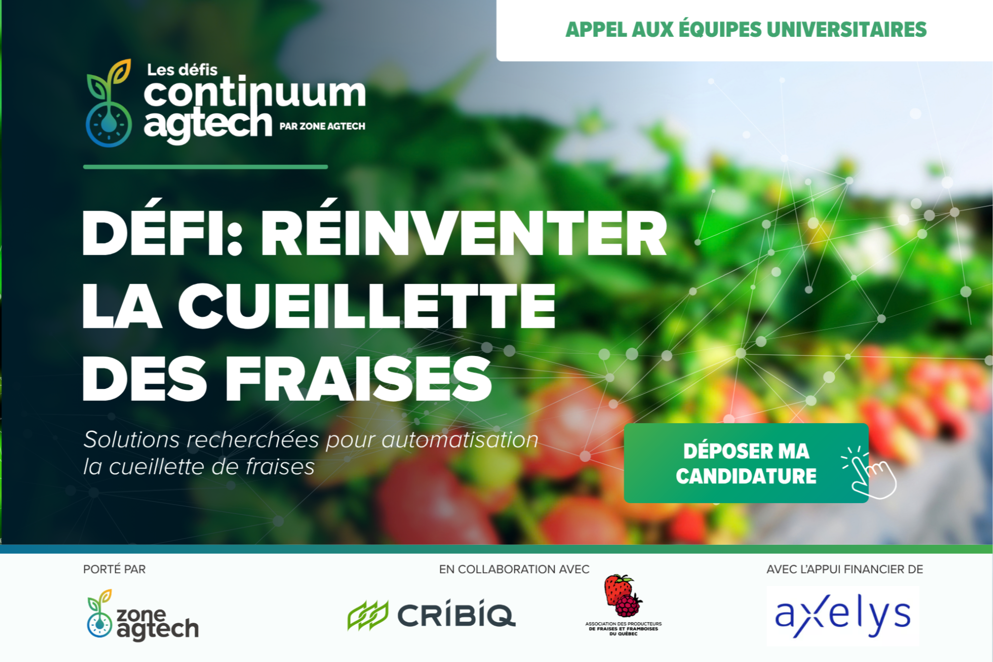 Défi Continuum Agtech : Réinventer la cueillette des fraises