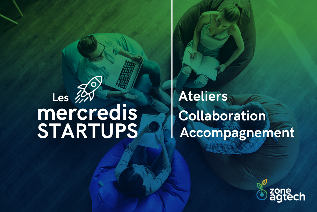 Les Mercredis Startups - Forfait de novembre