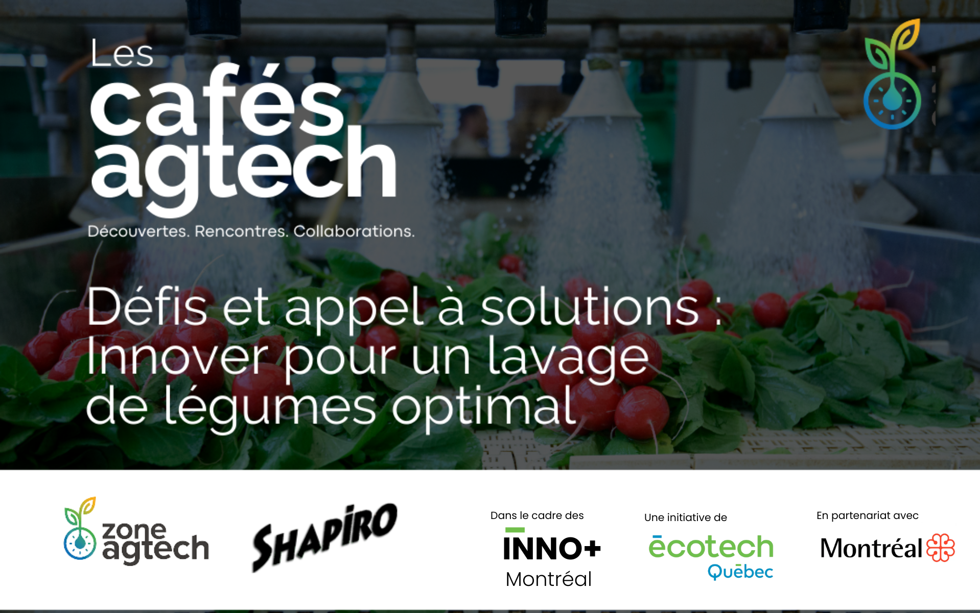 Café Agtech : Défis et appel à solutions : Innover pour un lavage de légumes optimal