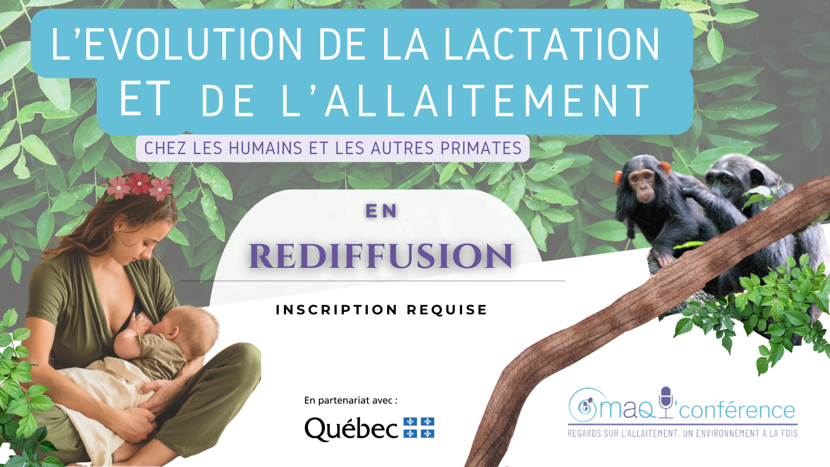 REDIFFUSION  - MAQ'conférence | L'évolution de la lactation et de l'allaitement chez les humains et les autres primates