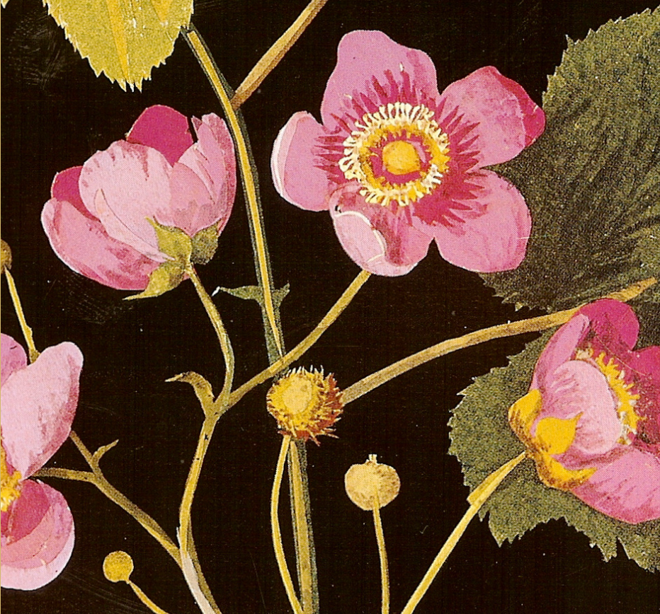 2023 Conference - Matters and Materials of Life, 1660-1820