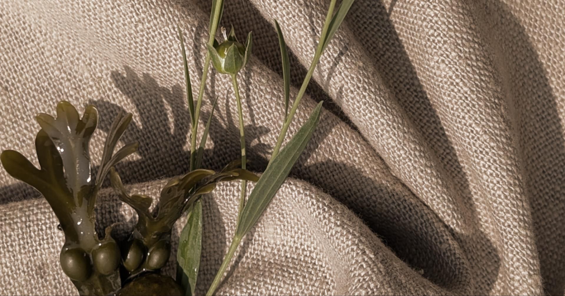 Exotique. Créer des textiles avec la flore d’ici et d’ailleurs