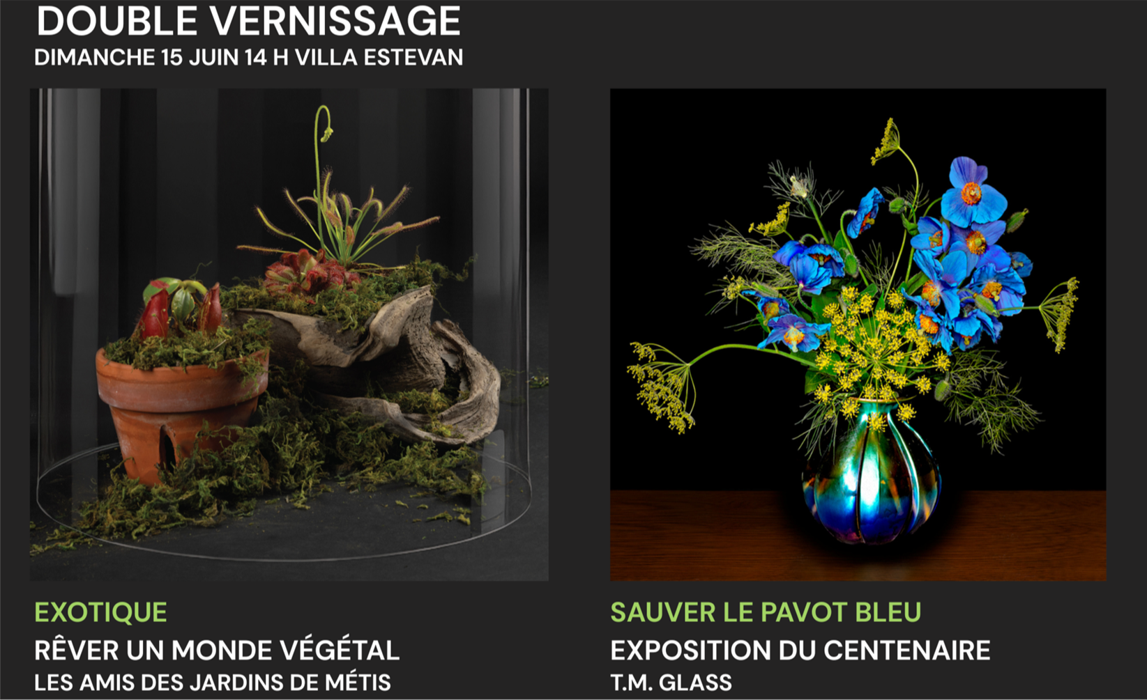 Vernissage d’expositions aux Jardins de Métis
