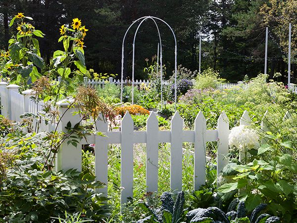 Le potager d'Elsie raconté par le jardinier Félix