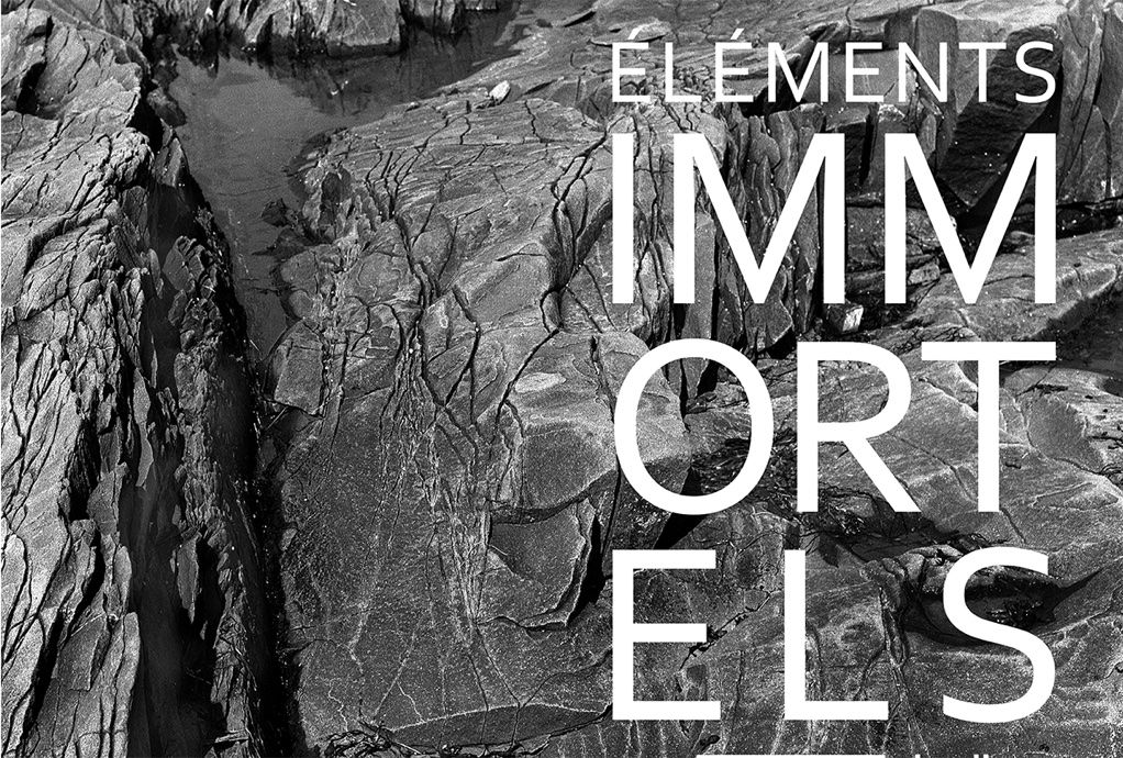 ÉLÉMENTS IMMORTELS | Visite commentée de l’exposition en compagnie de l’artiste photographe Pierre Fauteux