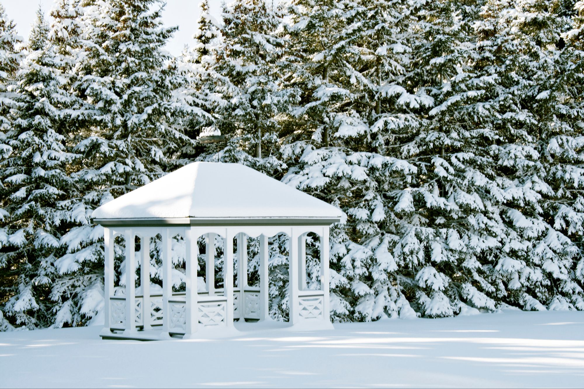 Christmas Concert: Winter in Music