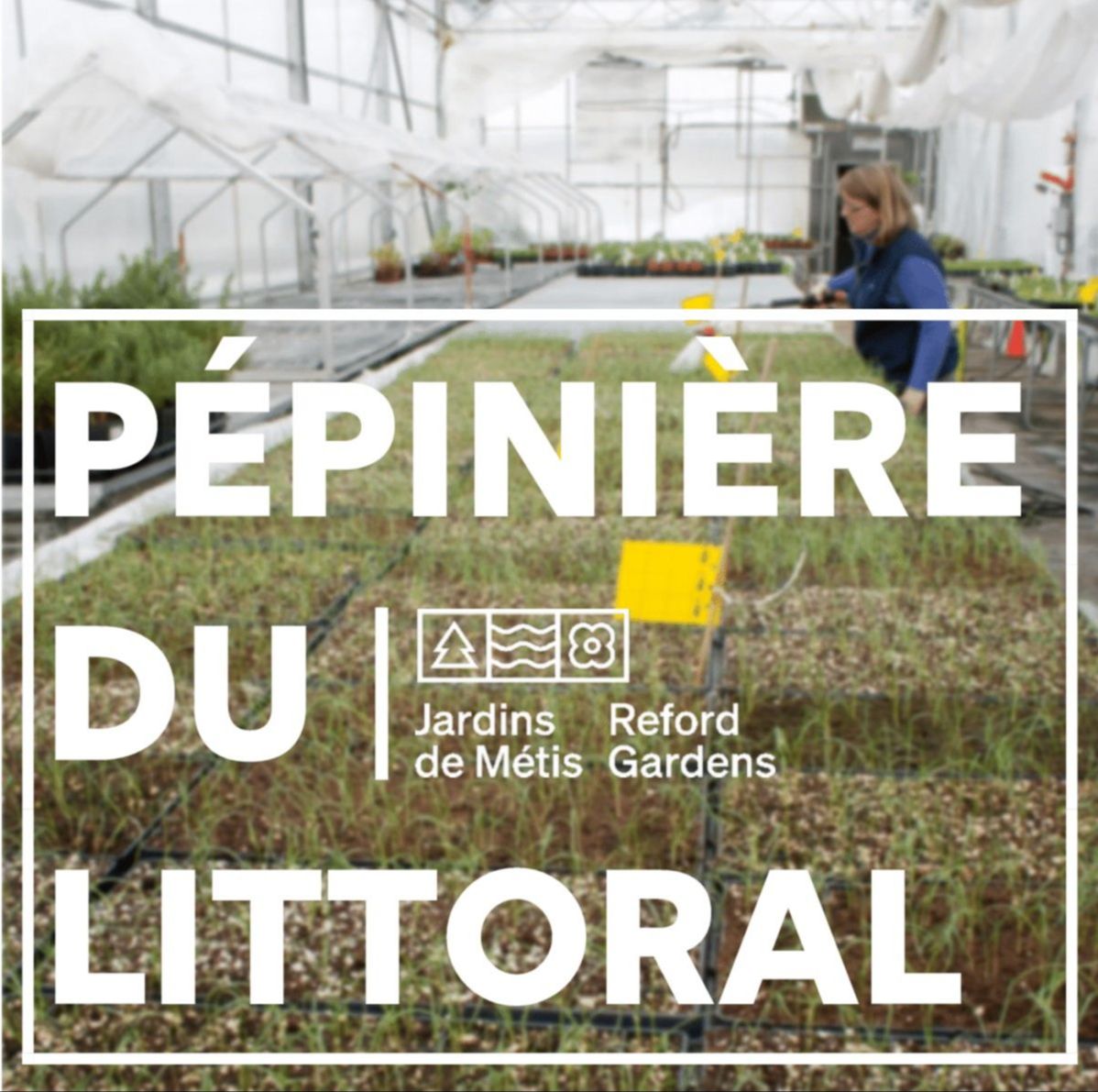 Commandez dès maintenant pour une livraison au printemps.