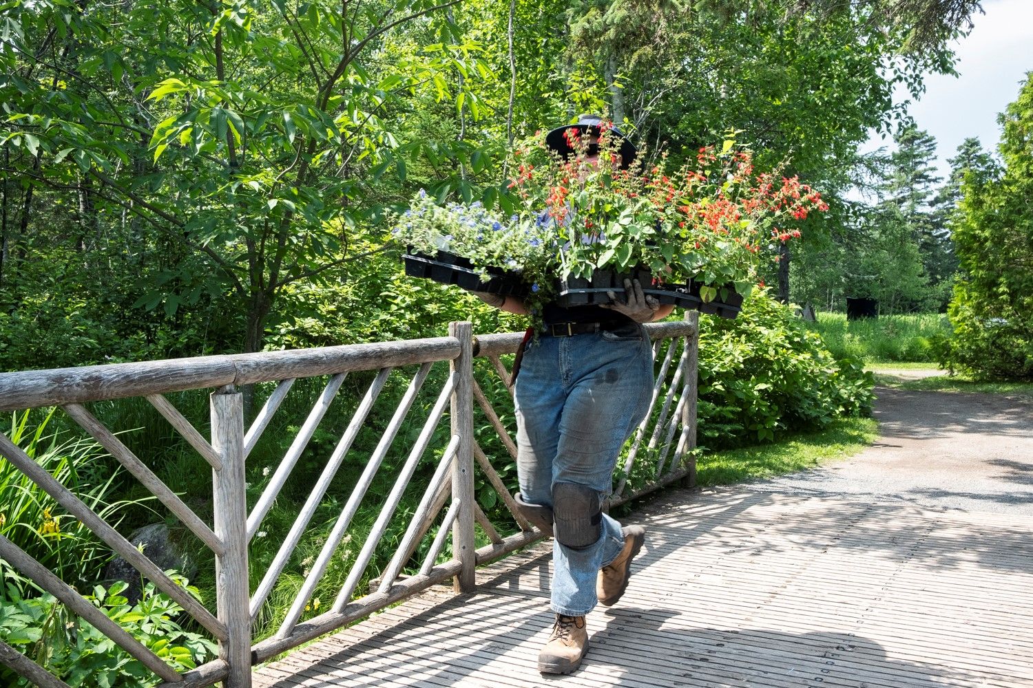 VERNISSAGE | Un jardin n’est jamais fini – Kassandra Reynolds