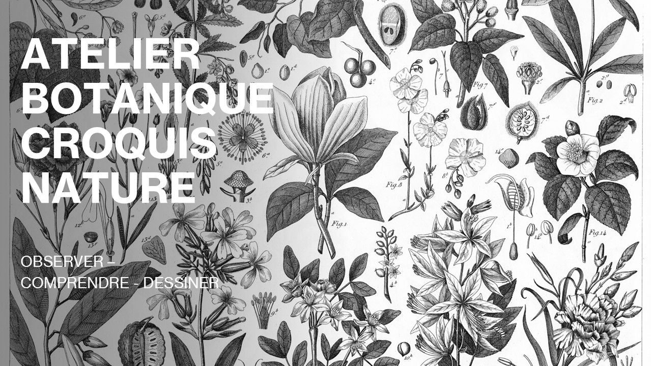 CROQUIS NATURE 2.0 – JOURNAL NATURE ILLUSTRÉ