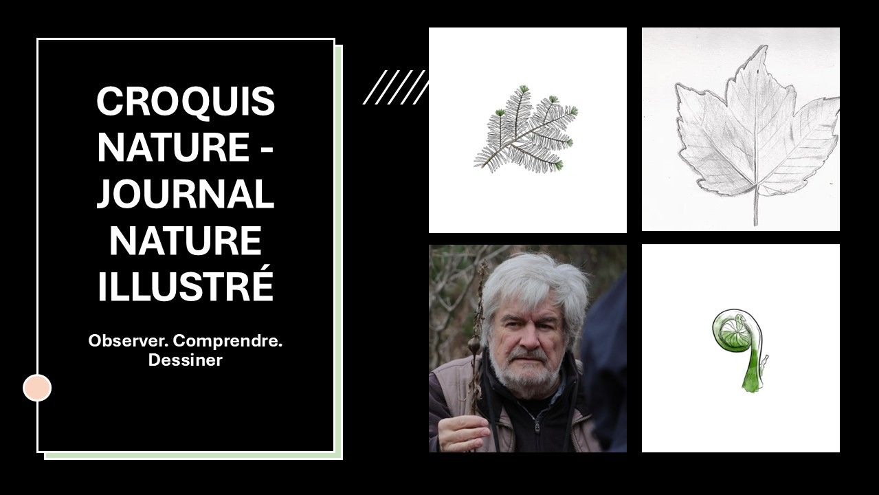 CROQUIS NATURE – JOURNAL NATURE ILLUSTRÉ