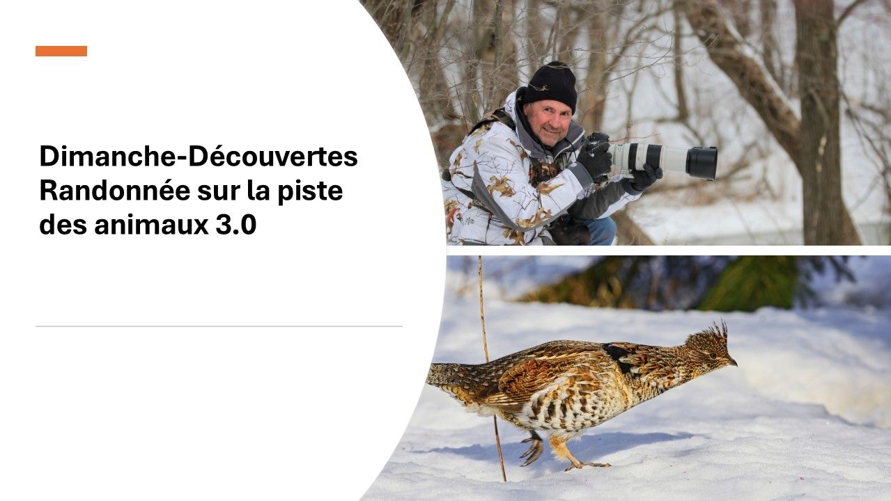 RANDONNÉE SUR LA PISTE DES ANIMAUX 3.0