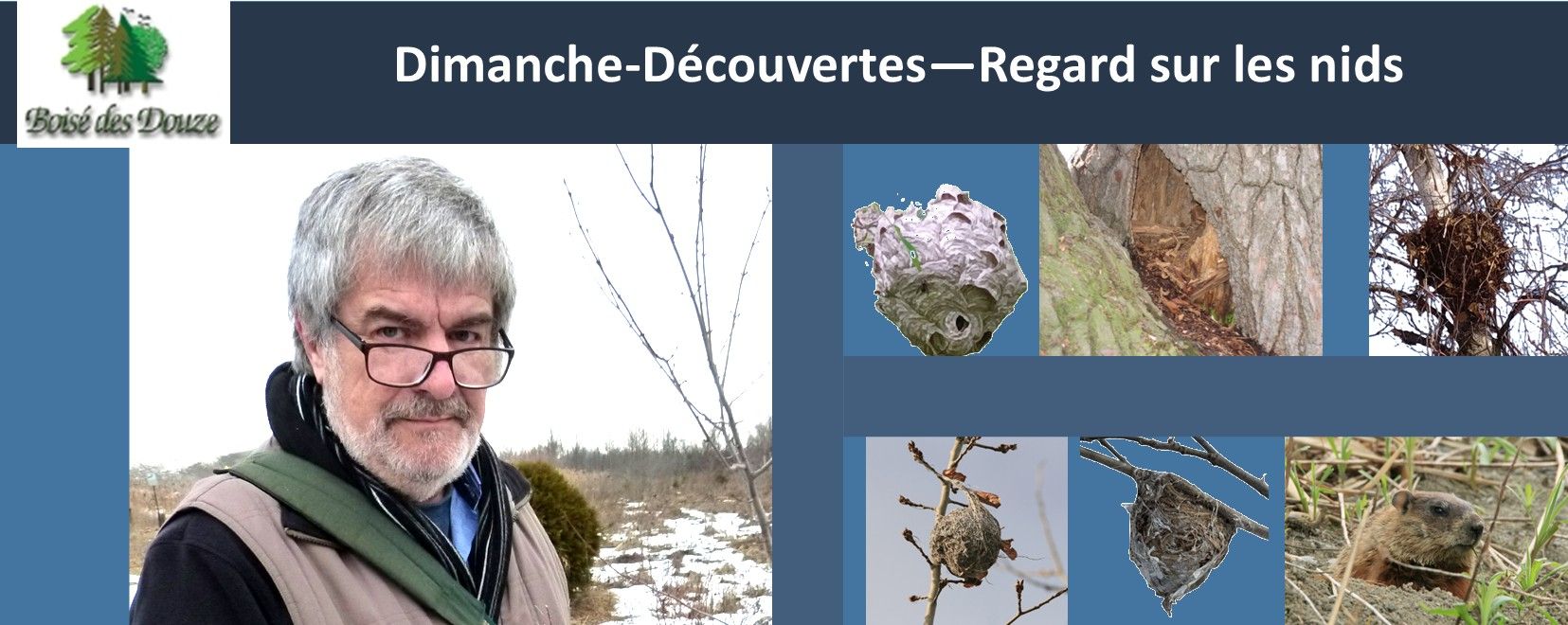 Dimanches découvertes - Regard sur les nids