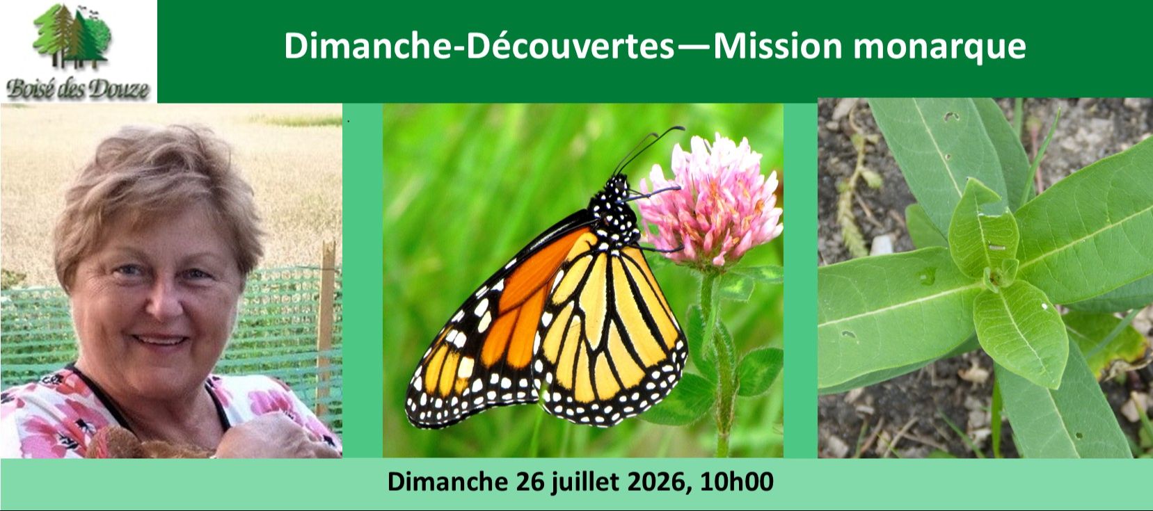 Les dimanches découvertes - Mission monarques