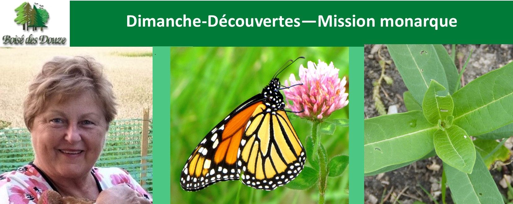 Dimanche-découvertes - Mission monarques