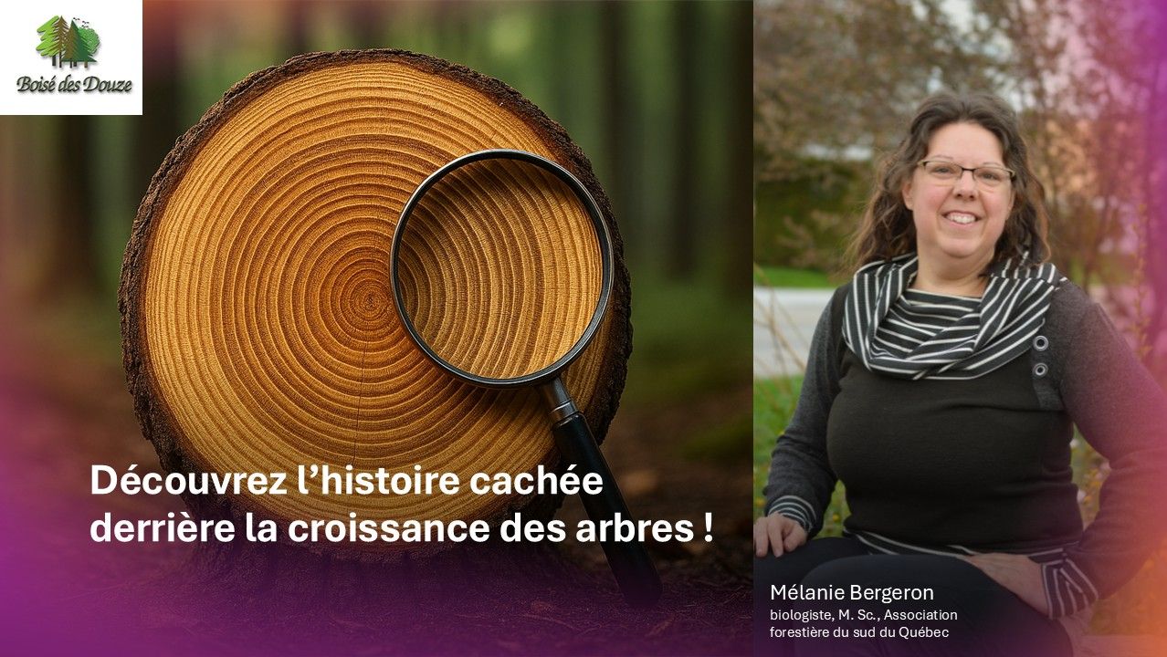 Curieux de nature - Découvrez l’histoire cachée derrière la croissance des arbres !