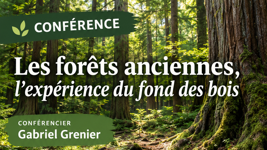 Conférence - Les forêts anciennes, l'expérience du fond des bois