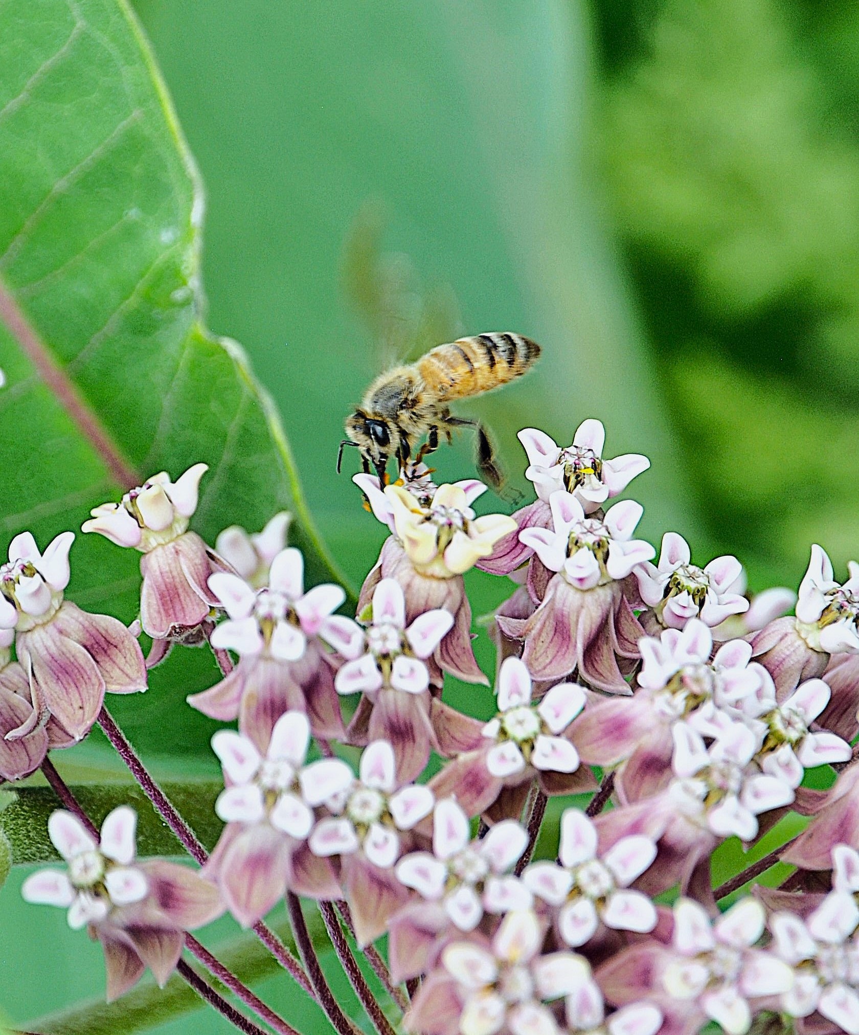 Articles - Image d'intro