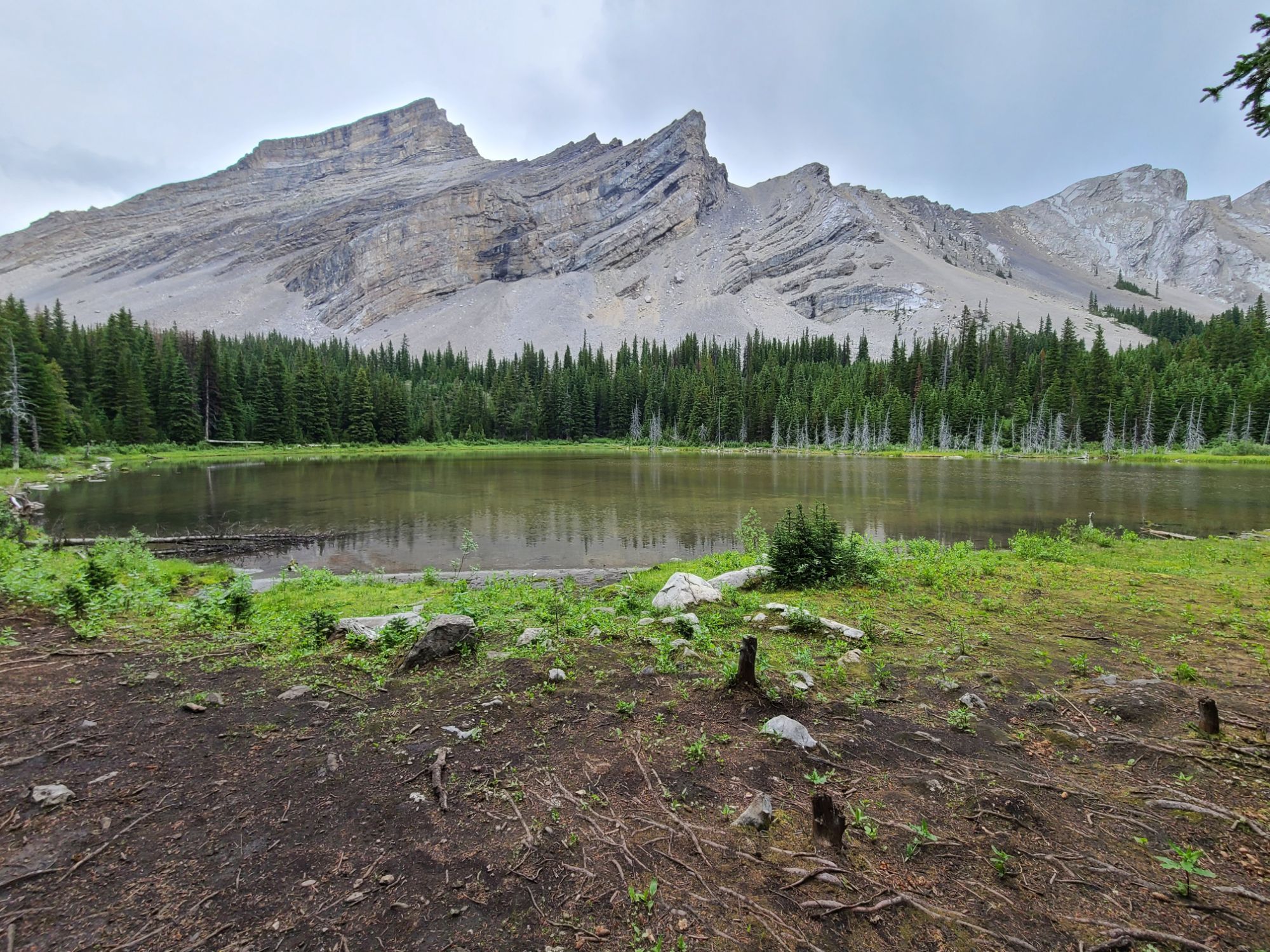 Hike & Fish - Picklejar Lakes (Kananaskis)
