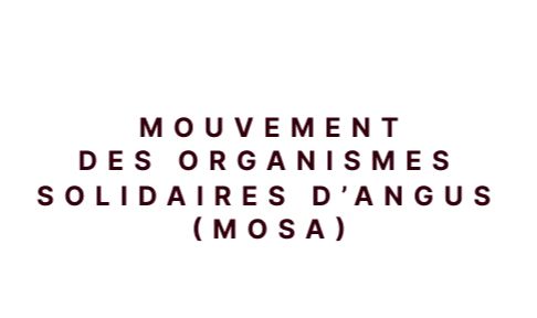 Articles - Vignette