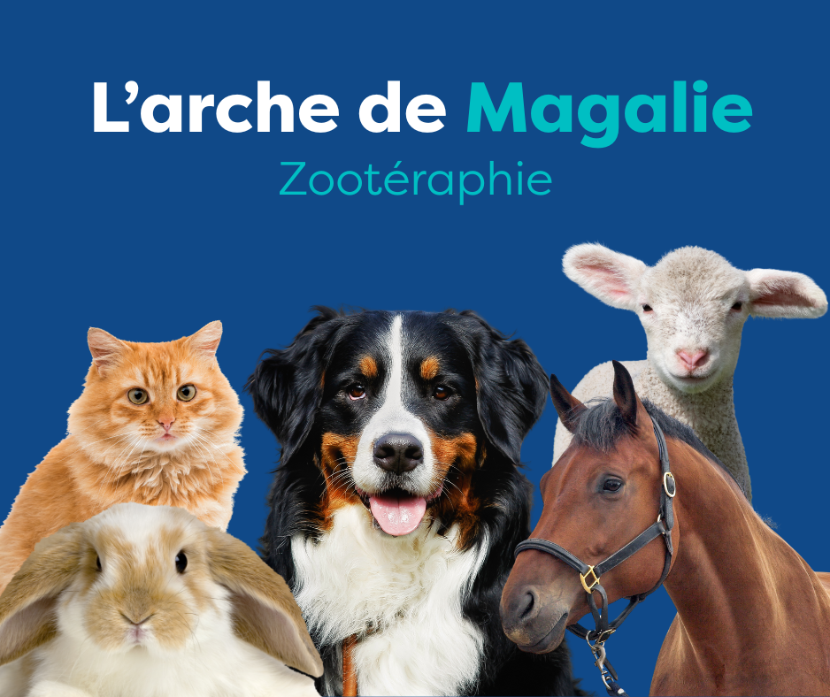 VIRTUEL - L'arche de Magali 2025-2026