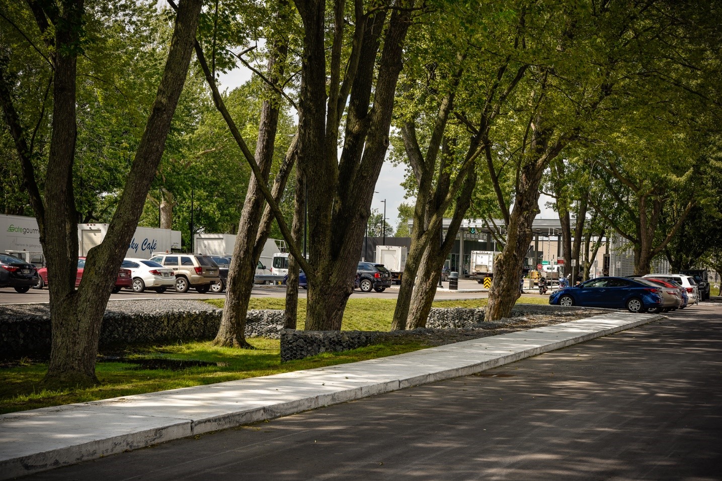 Réseau de trottoirs dans le stationnement