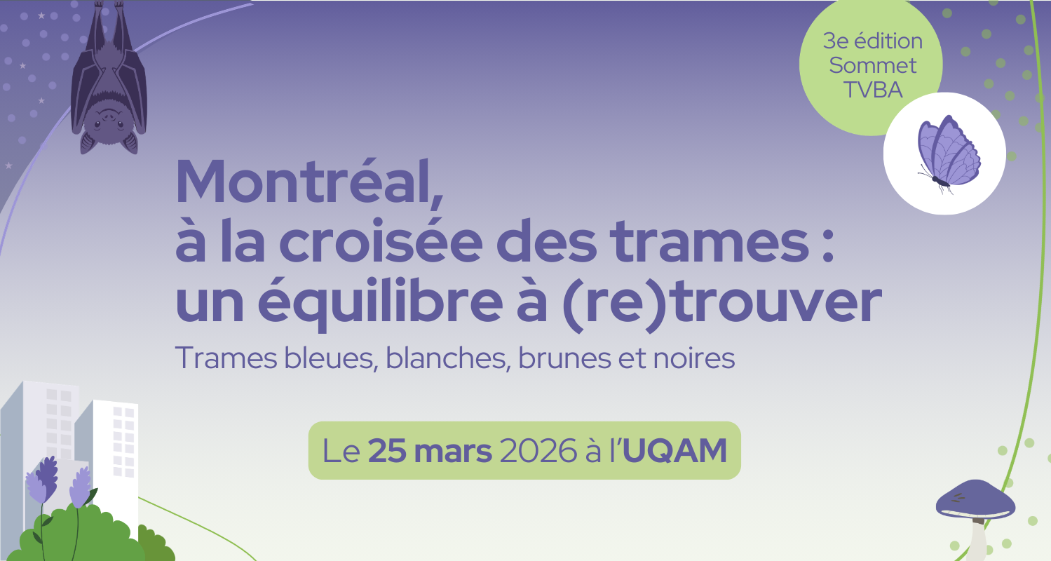Sommet | Montréal,  la croisée des trames : à équilibre à (re)trouver