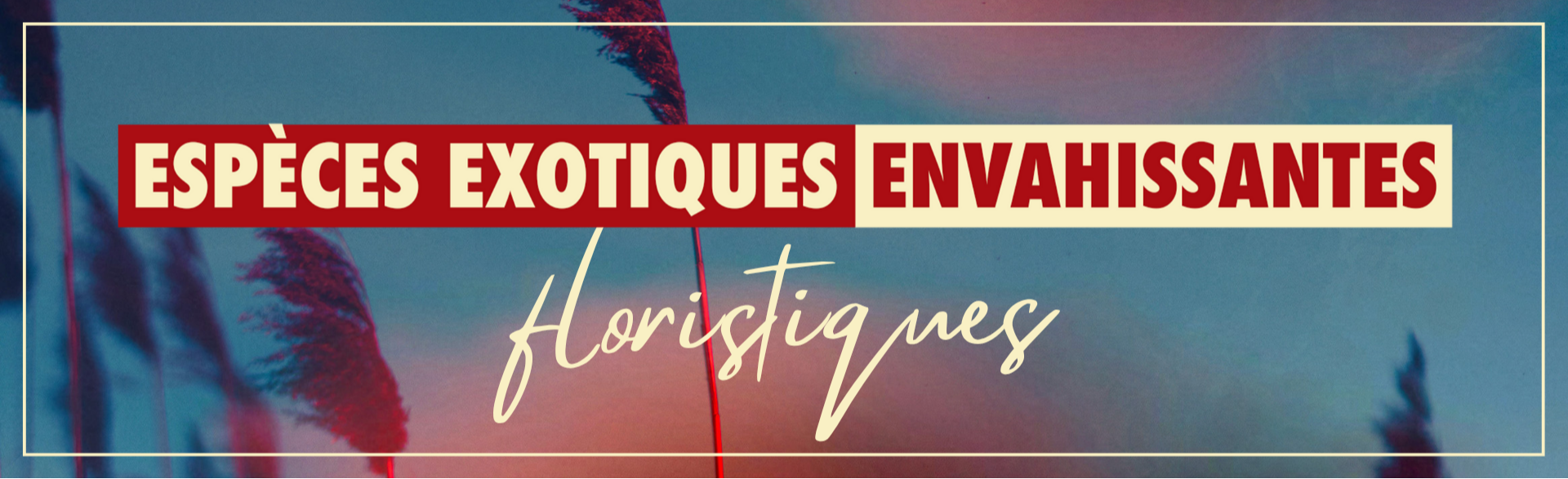 Table de concertation régionale EEE floristiques