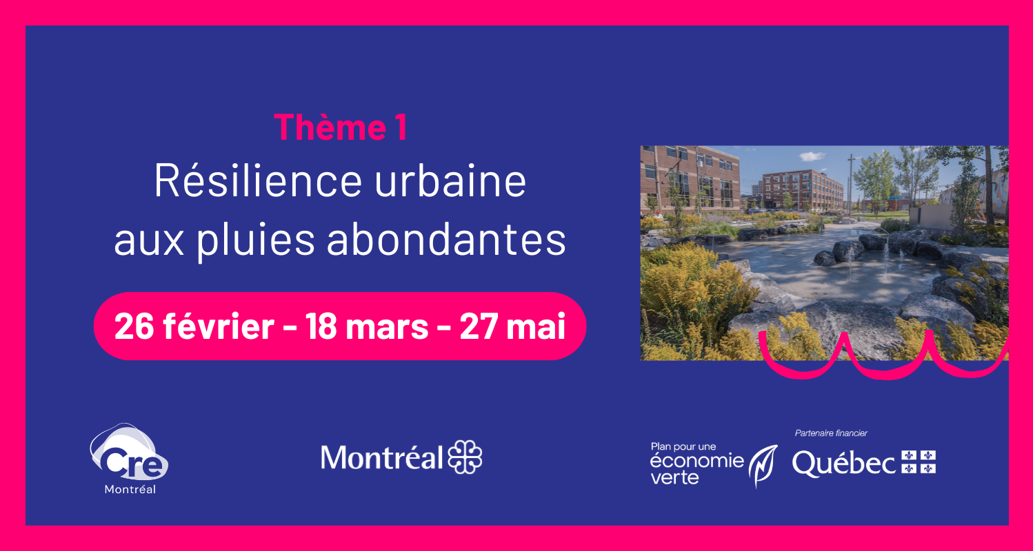 Webinaires | Résilience urbaine aux pluies abondantes