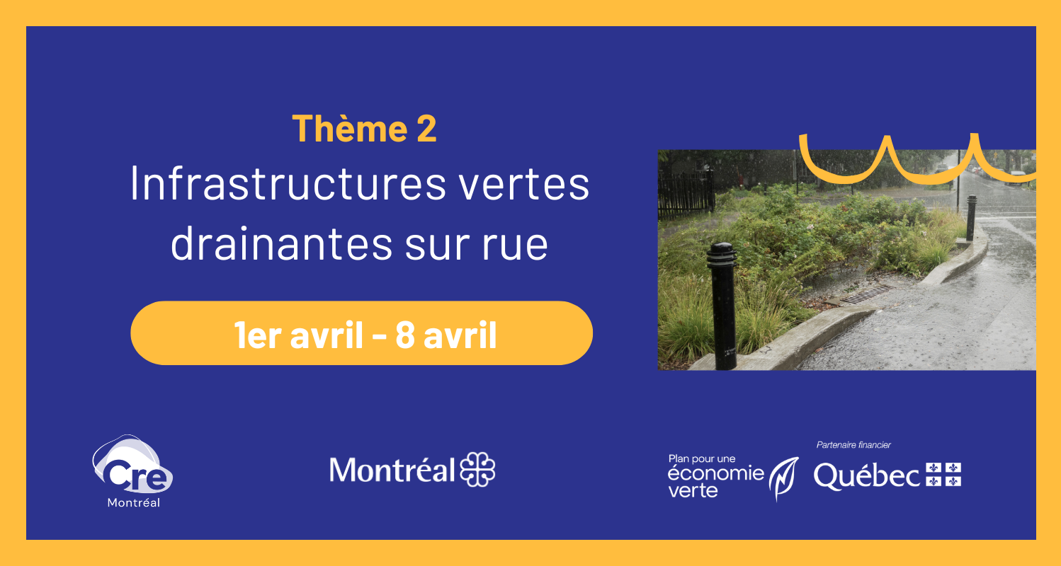 Webinaires | Infrastructures vertes drainantes sur rue