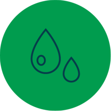 Articles - Vignette