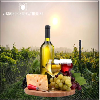 VISITE DU VIGNOBLE SAINTE-CATHERINE