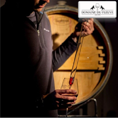 SORTIE AUTOMNALE-VIGNOBLE