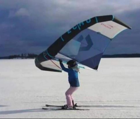 Wing Ski - Journée démo