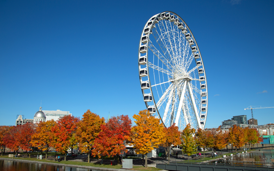 Grande roue du Vieux Port s'illumine pour le TDL