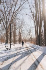 Marche à l'île des moulins Terrebonne 14 ans et plus