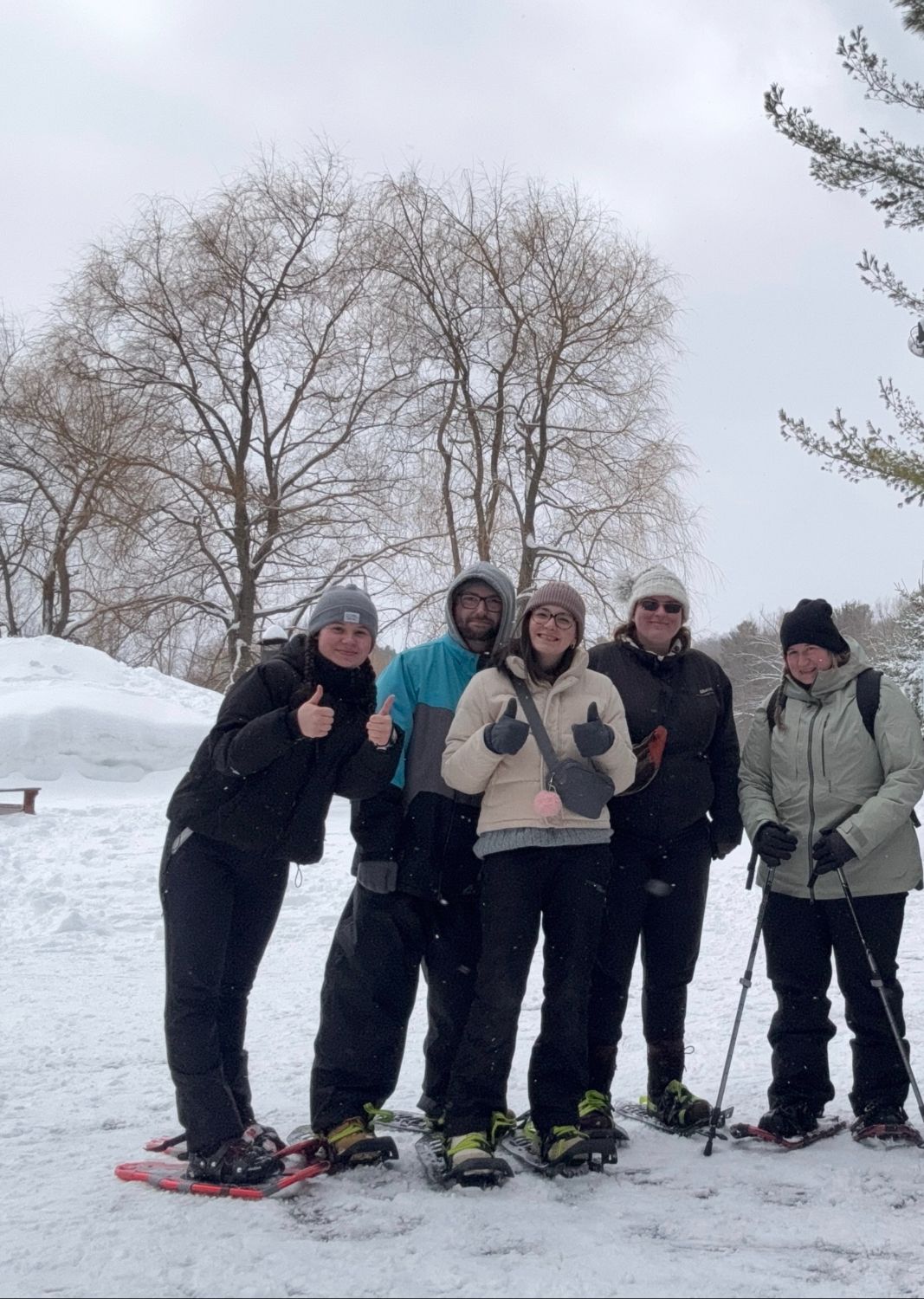 Promenade en raquette