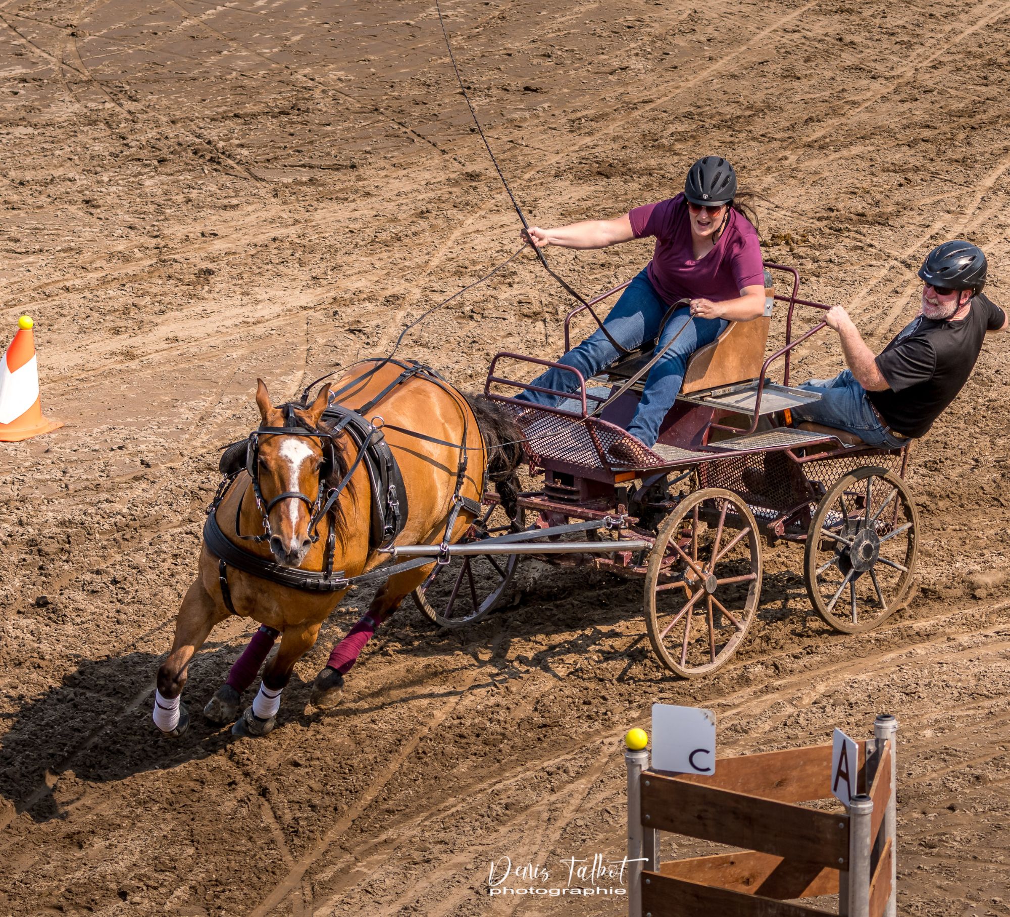Derby Festival Honéquestre