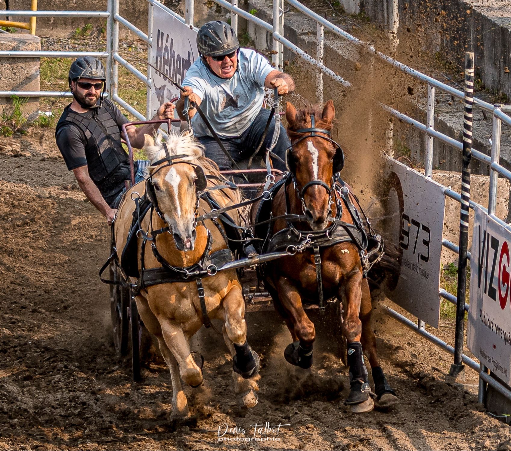 Derby du Festival du Cheval