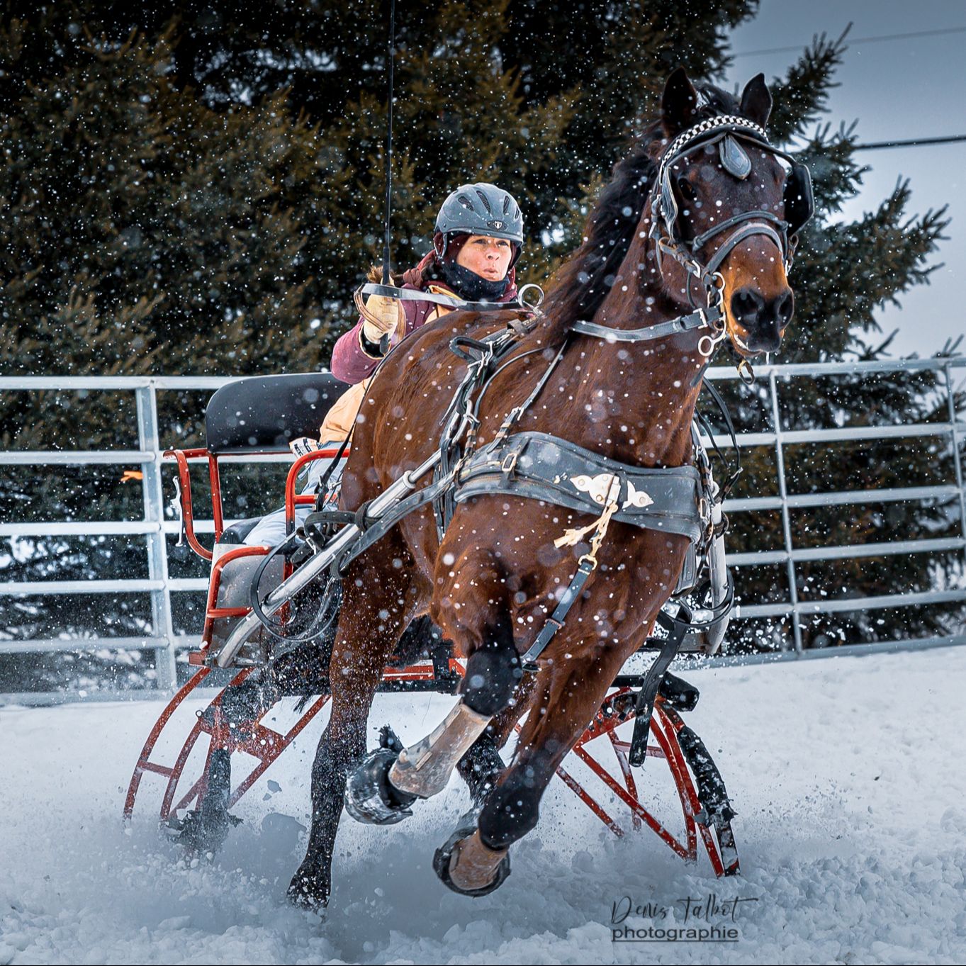 Derby Ranch chez Polo