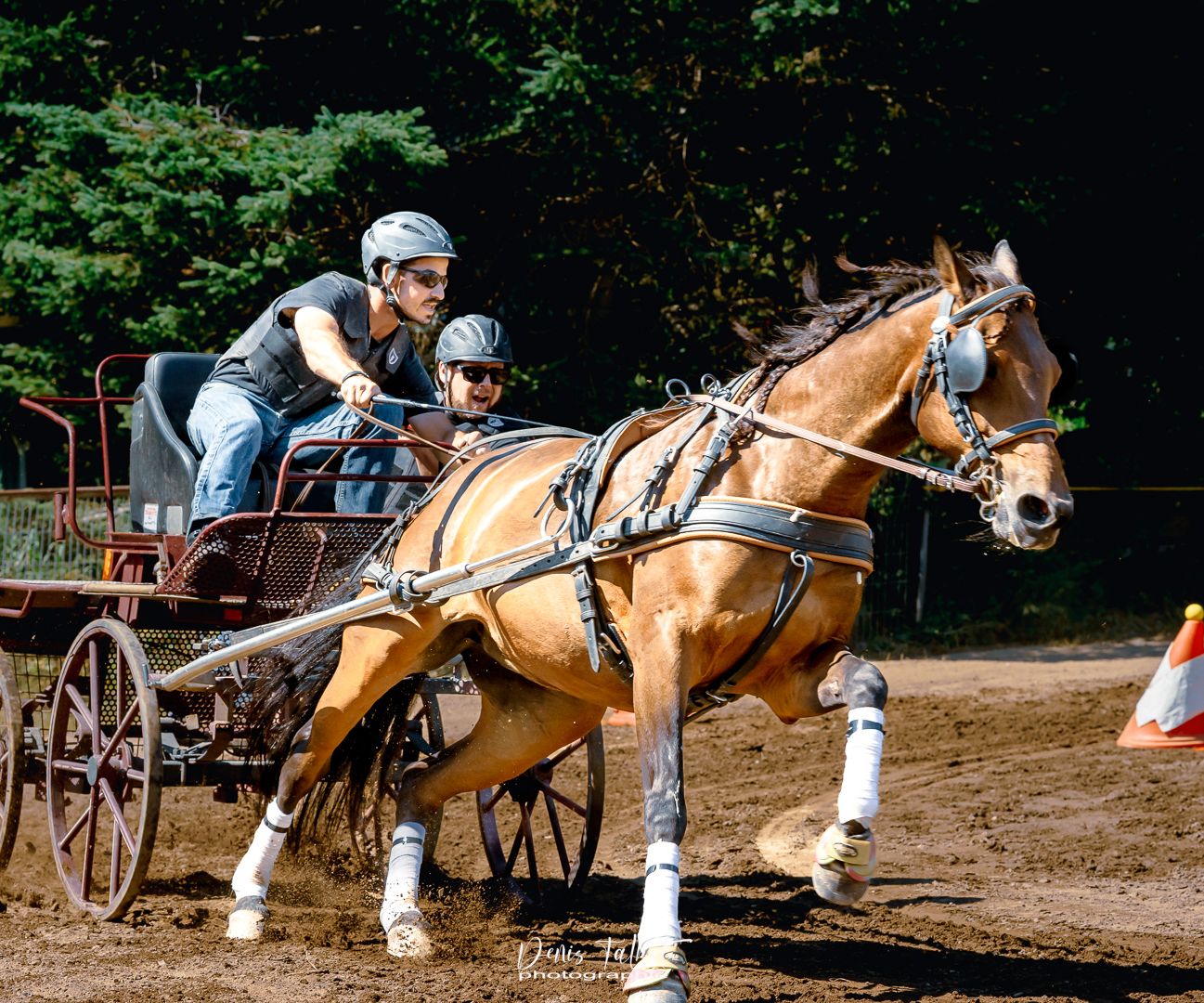 Derby du Festival du boeuf
