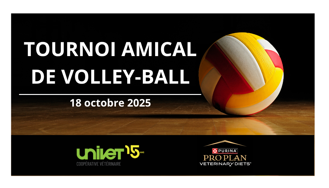 Tournoi volley-ball amical et party!