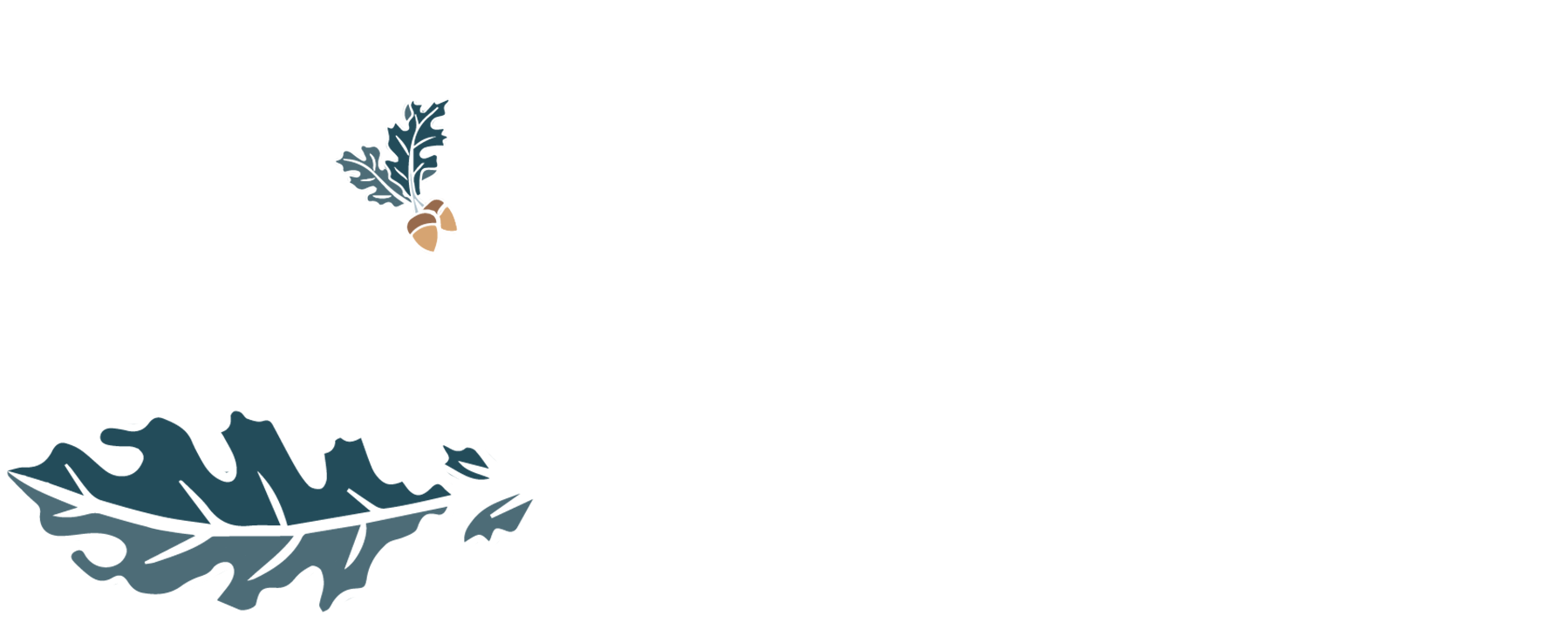 Logo St-Arnault Horsemanship
