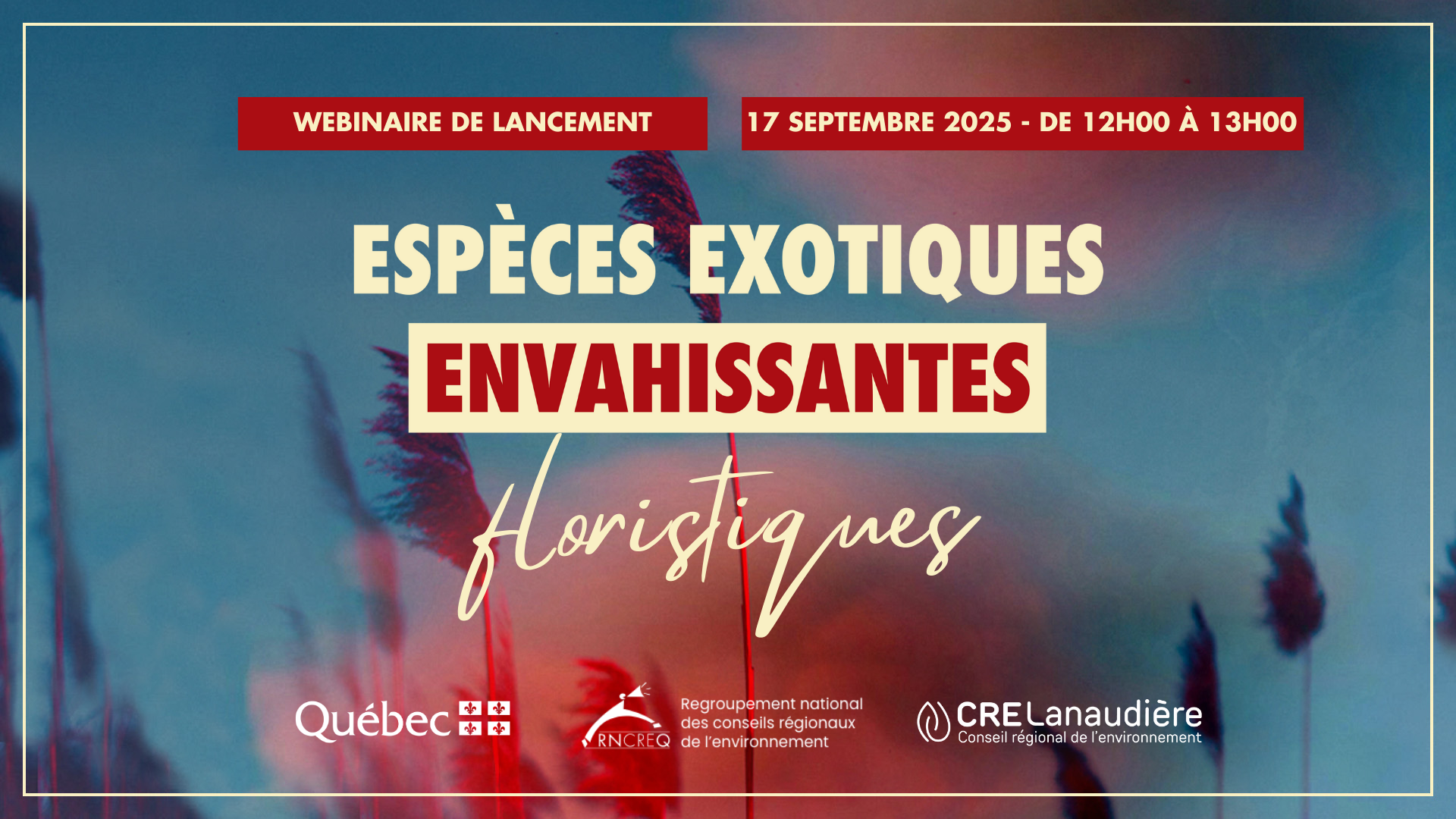 LANCEMENT - Concertation sur les espèces exotiques envahissantes floristiques