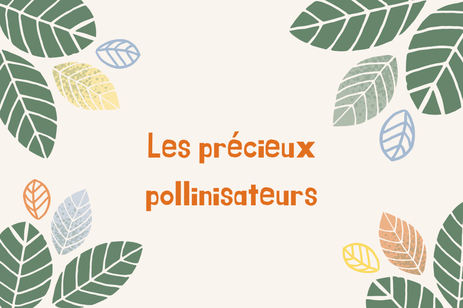 Articles - Vignette