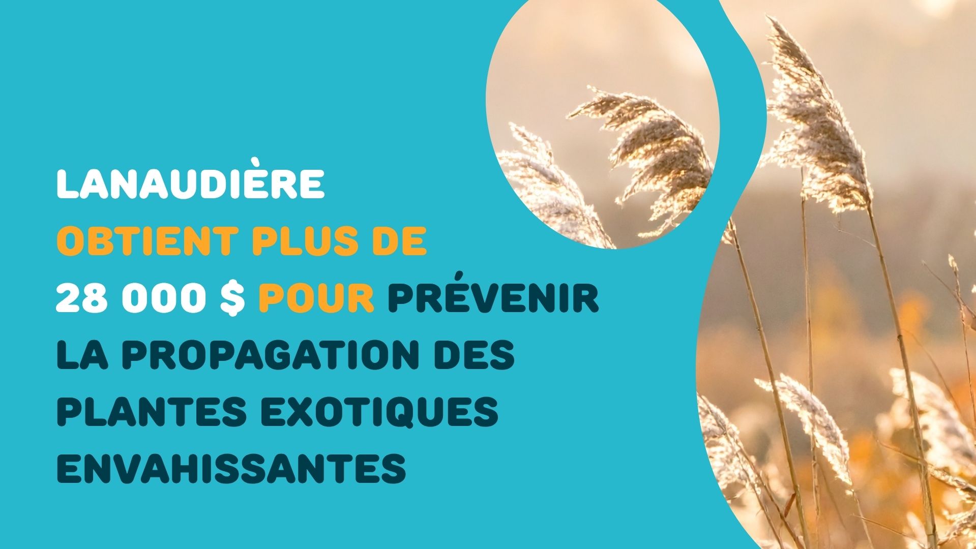 Articles - Vignette
