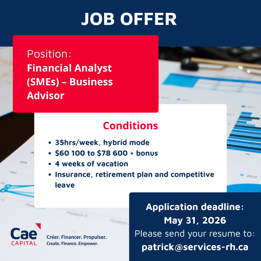 Financial Analyst (SMEs) – Business Advisor