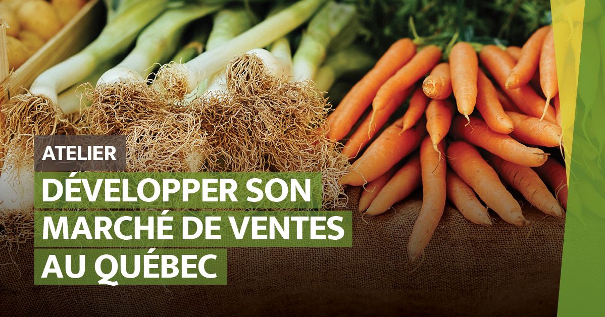 Développer son marché de ventes au Québec