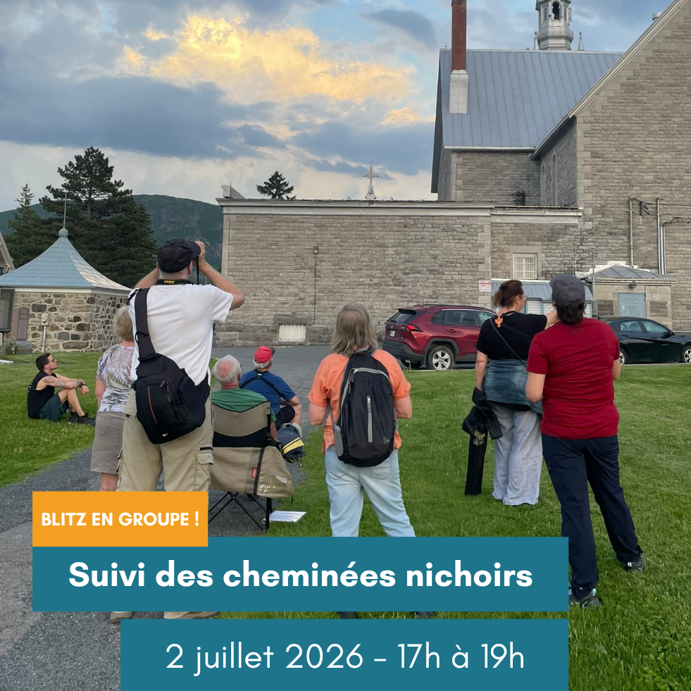 Suivi des cheminées nichoirs du martinet ramoneur - Jeudi 2 juillet 2026