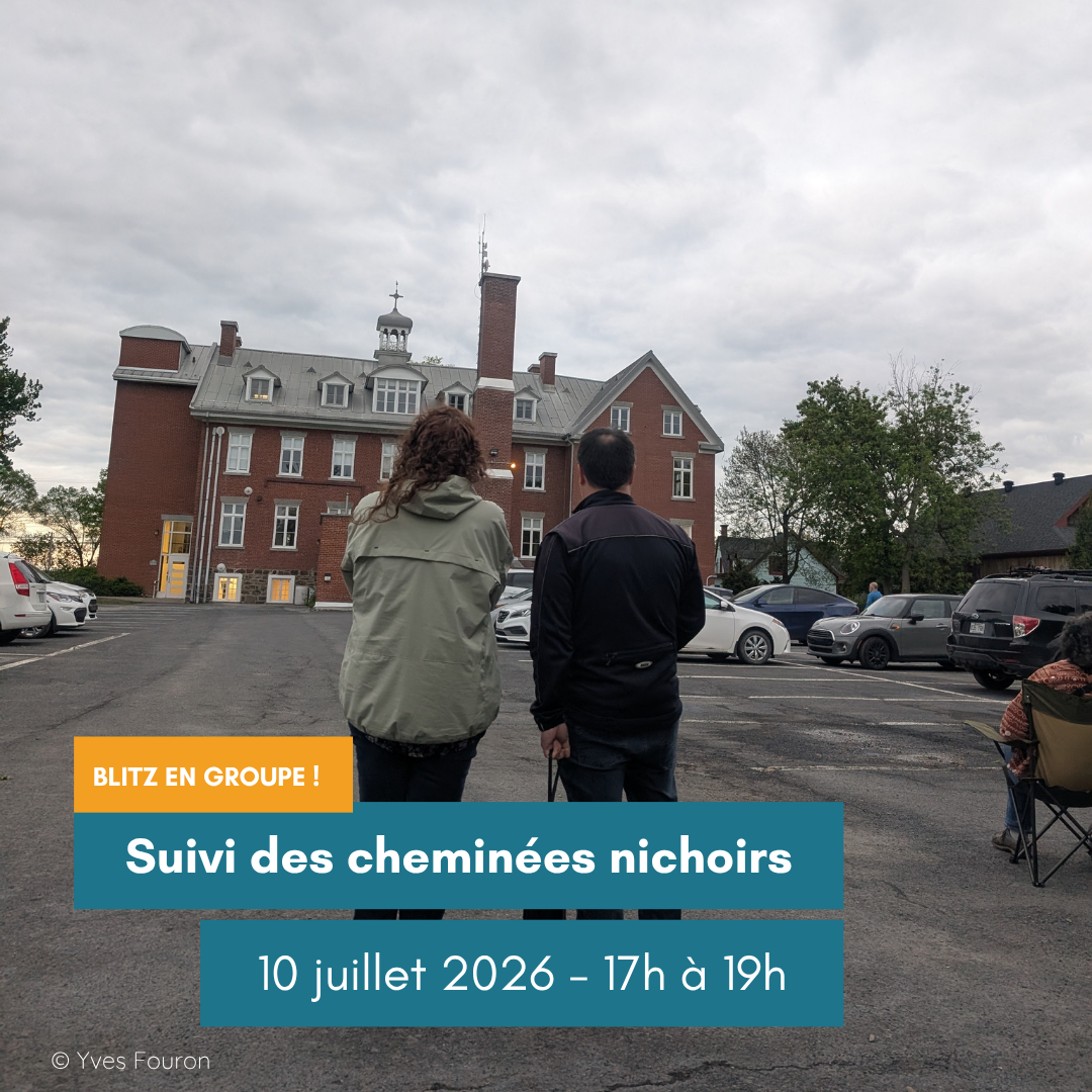 Suivi des cheminées nichoirs du martinet ramoneur - Vendredi 10 juillet 2026